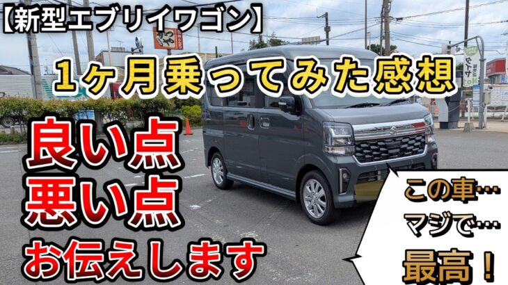 【新型エブリイワゴン】1ヶ月乗ってみた感想。良い点、悪い点お伝えしていきます。やっぱりすごいぞエブリィワゴン！（エブリィ、SUZUKI、4WD）