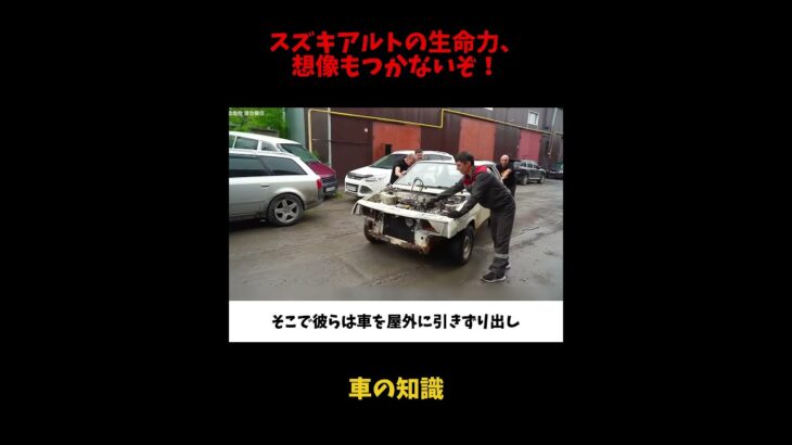 スズキアルトの生命力、想像もつかないぞ！#雑談 #愛車紹介