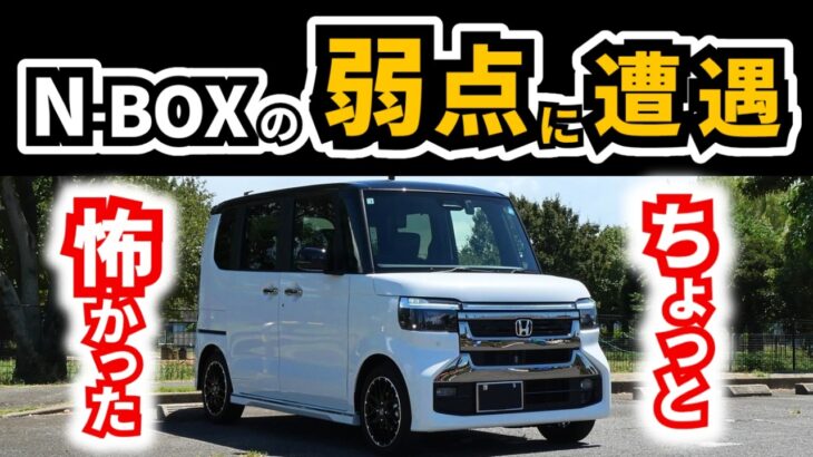 【懸念はしていたのですが…】納車後、初の高速走行で感じた、N-BOXというよりはホンダに改善を求めたい事項｜HONDA N-BOX