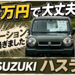 【衝撃】5年落ちハスラーがまさかの総額65万円/ 静岡県浜松市 / 軽自動車専門店 / CAR SHOP INNOVATION /