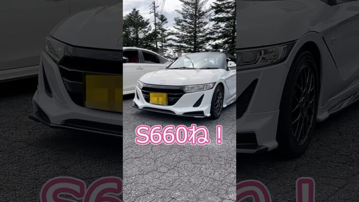 キマッてるおチビ #車 #s660 #ホンダ #チビ