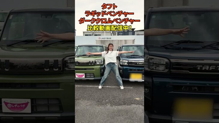 【タフト新旧特別仕様車比較！】レディバグチャンネルで配信中！#タフト#SUV #新型車 #daihatsu