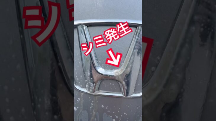 【N-VAN】雨上がりのシミ発生…！速攻洗車とCCウォーターでピカピカに復活させる方法