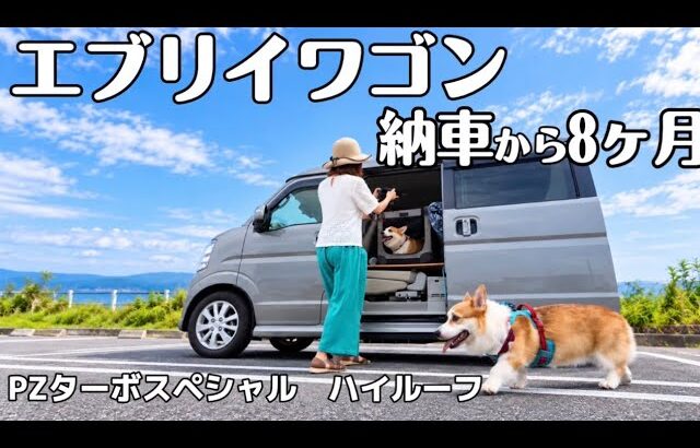 【エブリイワゴン】納車から8ヶ月。実際に乗って分かったこと・私たちの使い方を紹介します！